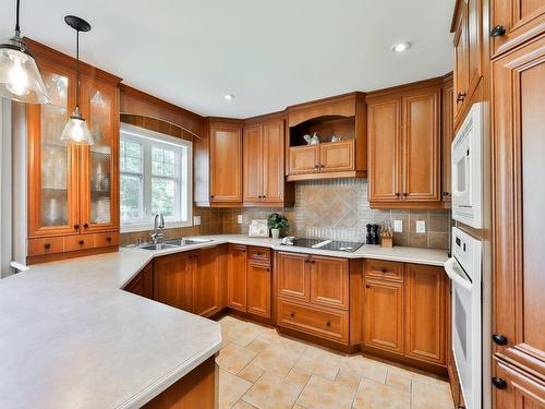 Cuisine - 1020 Rue Côté, Saint-Jérôme, QC - Indoor Photo Showing Kitchen With Double Sink