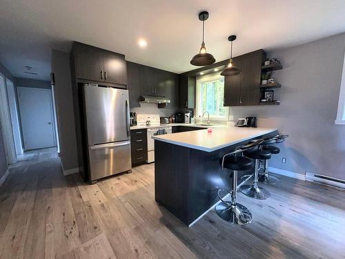 Kitchen - 2Z Rg Taché E., Sainte-Perpétue, QC - Indoor Photo Showing Kitchen