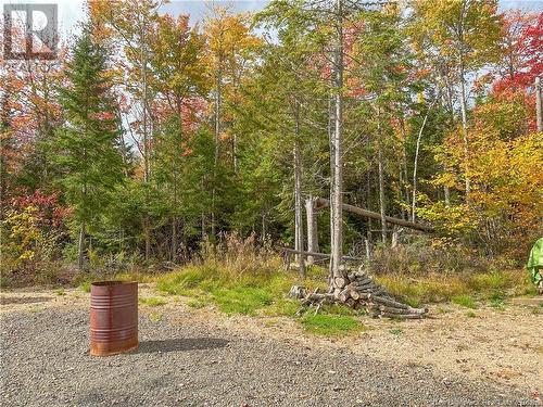 25 Holt Road, Harvey, NB - Outdoor