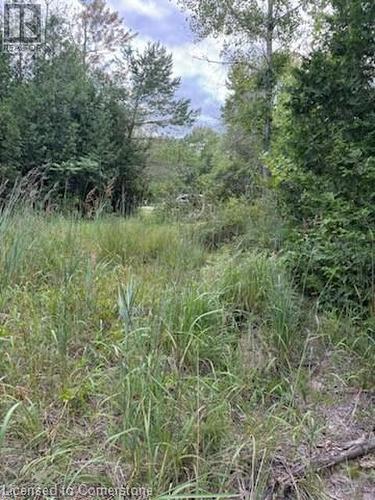 Pt Lot 7 West Ipperwash Road, Lambton Shores (Munic), ON 