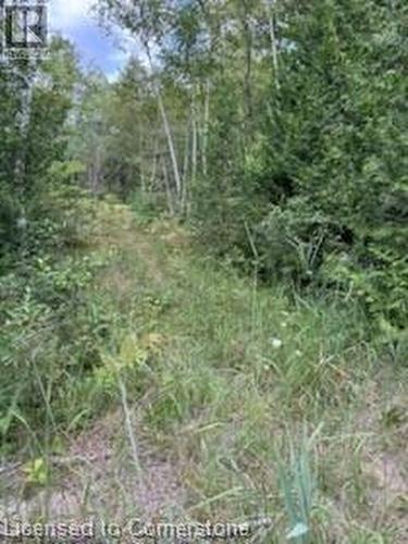 Pt Lot 7 West Ipperwash Road, Lambton Shores (Munic), ON 