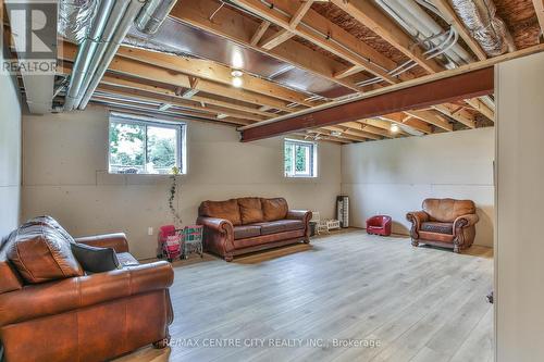 14 St Ladislaus Street, Norfolk (Courtland), ON - Indoor Photo Showing Basement