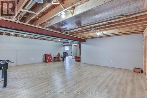 14 St Ladislaus Street, Norfolk (Courtland), ON - Indoor Photo Showing Basement