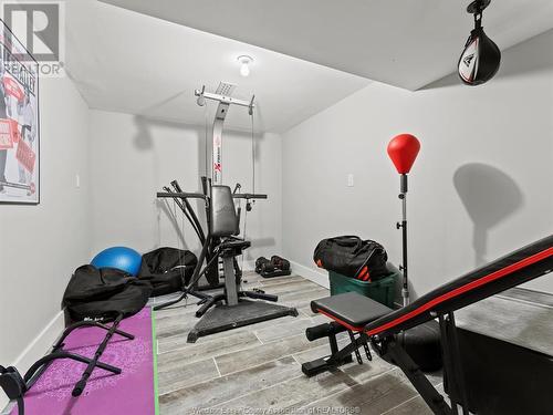 354 Puce Road, Lakeshore, ON - Indoor Photo Showing Gym Room