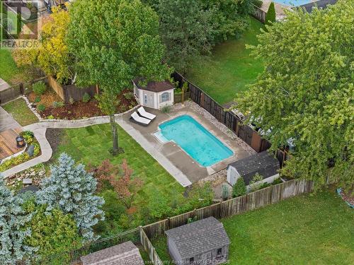 354 Puce Road, Lakeshore, ON - Outdoor With In Ground Pool With Backyard