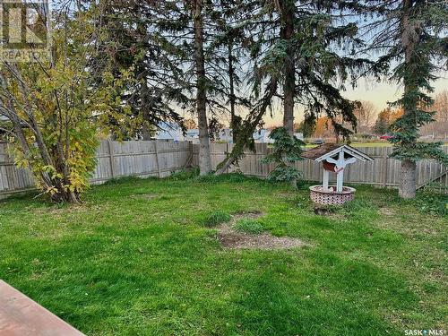 209 3Rd Avenue N, Big River, SK - Outdoor With Backyard