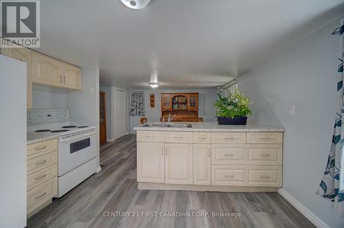 63 Baldwin Street, Tillsonburg, ON - Indoor Photo Showing Kitchen With Double Sink