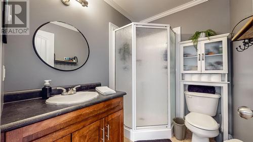 28 Brodie Street, Mount Pearl, NL - Indoor Photo Showing Bathroom