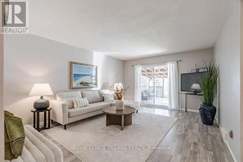 35 Caprice Crescent, London, ON - Indoor Photo Showing Living Room