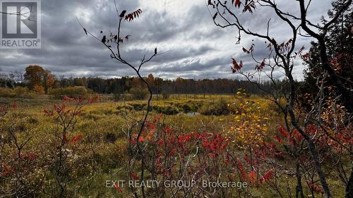 1989 Elm Tree Road, Central Frontenac, ON 