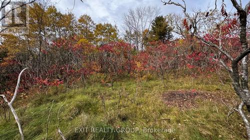 1989 Elm Tree Road, Central Frontenac, ON 