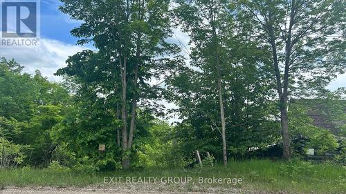 1989 Elm Tree Road, Central Frontenac, ON 