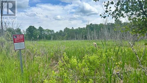 1989 Elm Tree Road, Central Frontenac, ON 