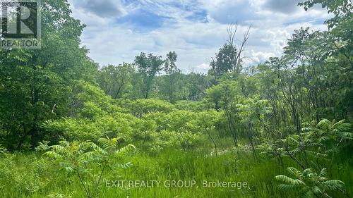 1989 Elm Tree Road, Central Frontenac, ON 