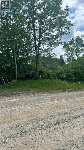 1989 Elm Tree Road, Central Frontenac, ON 