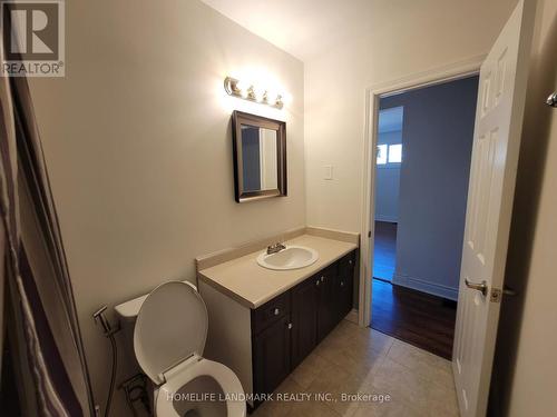 Main - 307 Axminster Drive, Richmond Hill, ON - Indoor Photo Showing Bathroom