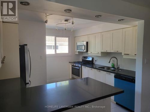 Main - 307 Axminster Drive, Richmond Hill, ON - Indoor Photo Showing Kitchen With Double Sink