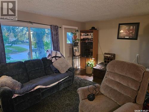 134 2Nd Street Nw, Wadena, SK - Indoor Photo Showing Living Room