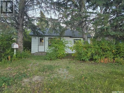 134 2Nd Street Nw, Wadena, SK - Outdoor