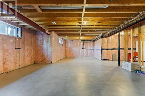 494 County 43 Road, Merrickville, ON - Indoor Photo Showing Basement