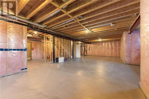 494 County 43 Road, Merrickville, ON - Indoor Photo Showing Basement