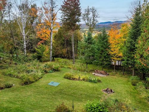 Backyard - 272 Rue Du Sommet, Mont-Tremblant, QC - Outdoor