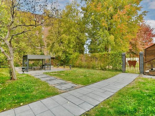 Backyard - 35 Rue St-Jacques, Longueuil (Le Vieux-Longueuil), QC - Outdoor