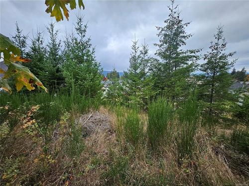 3692 Lyall Point Cres, Port Alberni, BC 