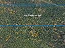 Lot 106 Pratt Rd, Hilliers, BC 