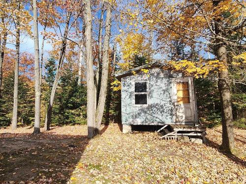 Remise - 3984 1Re Rue Du Lac-Mondor, Saint-Damien, QC - Outdoor