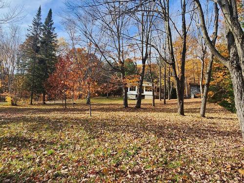 Terre/Terrain - 3984 1Re Rue Du Lac-Mondor, Saint-Damien, QC - Outdoor With View