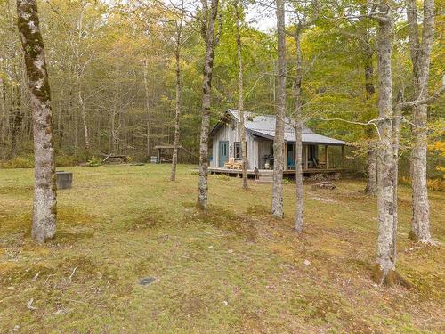 79 Laurie'S Lane, Forest Glen, NS 