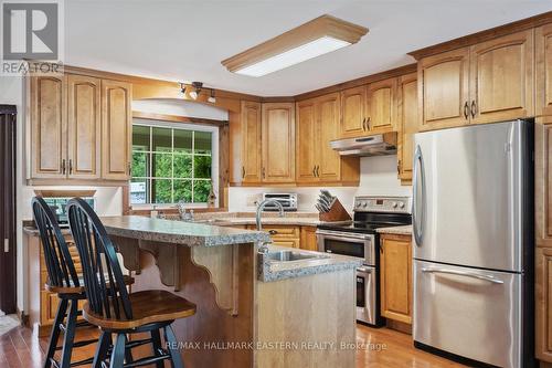 793 Edenderry Line, Smith-Ennismore-Lakefield, ON - Indoor Photo Showing Kitchen