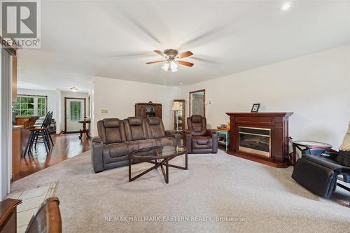 793 Edenderry Line, Smith-Ennismore-Lakefield, ON - Indoor Photo Showing Living Room With Fireplace