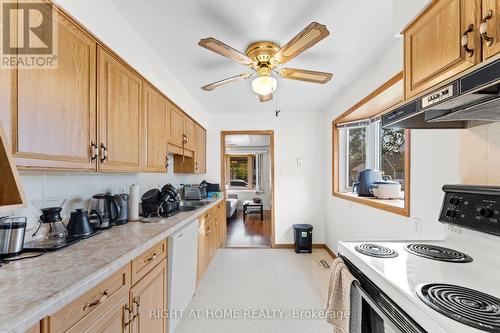 981 Partington Avenue W, Windsor, ON - Indoor Photo Showing Kitchen