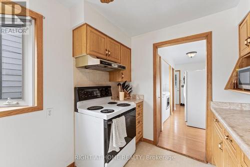 981 Partington Avenue W, Windsor, ON - Indoor Photo Showing Kitchen