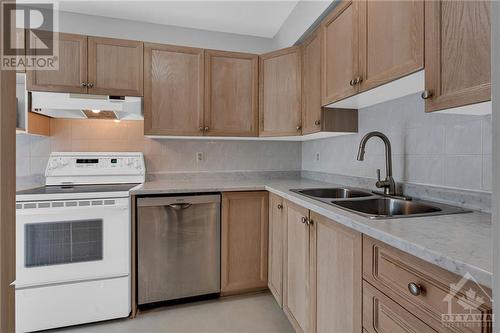 133 Hemlo Crescent, Ottawa, ON - Indoor Photo Showing Kitchen With Double Sink