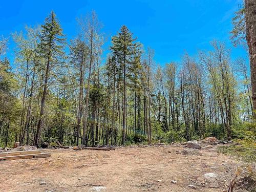 Lot 24 Loon Lane, Aylesford Lake, NS 