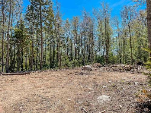 Lot 24 Loon Lane, Aylesford Lake, NS 