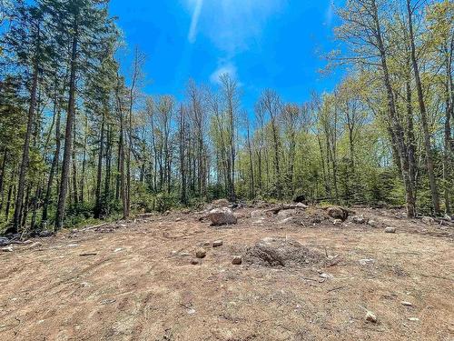 Lot 24 Loon Lane, Aylesford Lake, NS 