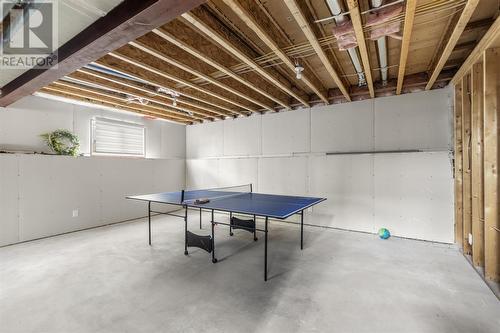 542 Boundary Rd, Sault Ste. Marie, ON - Indoor Photo Showing Basement