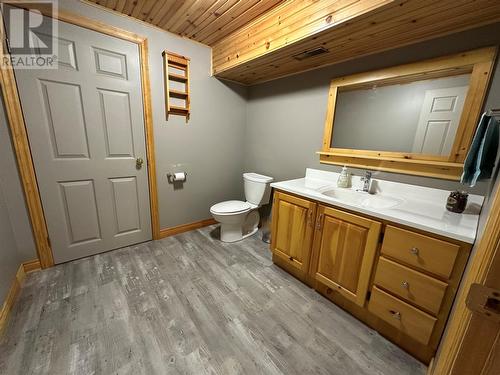 204 Main Street, Norris Point, NL - Indoor Photo Showing Bathroom