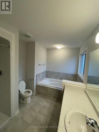 14 Ironwood Court, Thorold, ON - Indoor Photo Showing Bathroom