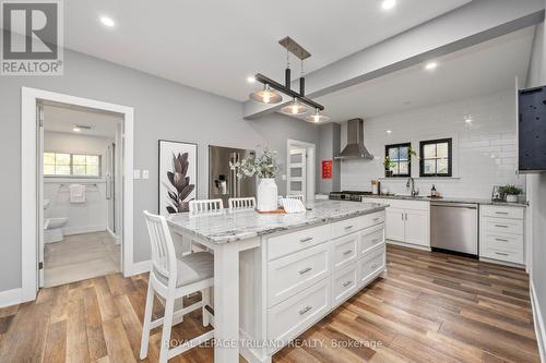 242 Hastings Street, North Middlesex (Parkhill), ON - Indoor Photo Showing Kitchen With Upgraded Kitchen