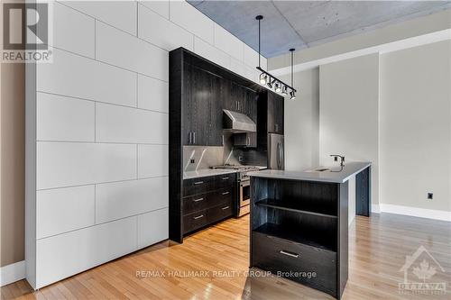 206 - 420 Berkley Avenue, Ottawa, ON - Indoor Photo Showing Kitchen