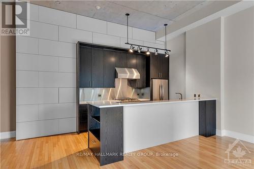 206 - 420 Berkley Avenue, Ottawa, ON - Indoor Photo Showing Kitchen With Upgraded Kitchen