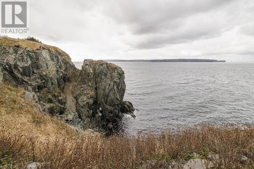 20 West Point Road, Portugal Cove-St. Philips, NL - Outdoor With Body Of Water With View