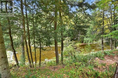 1134 Hallecks Road W, Brockville, ON - Outdoor