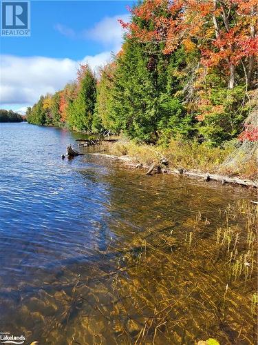 Shoreline - 1140 Gooseneck Lake, Whitestone, ON 