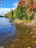 Shoreline - 1140 Gooseneck Lake, Whitestone, ON 